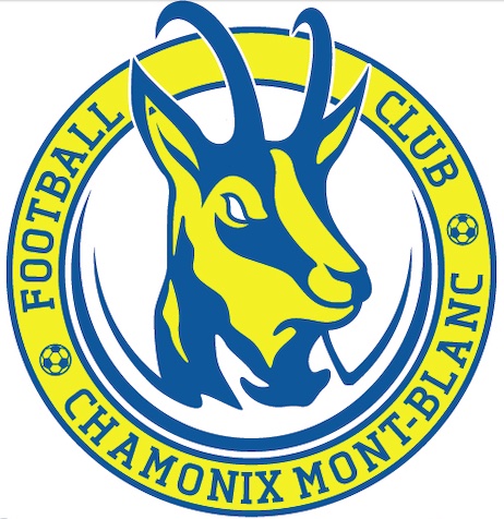 Section FOOTBALL logo